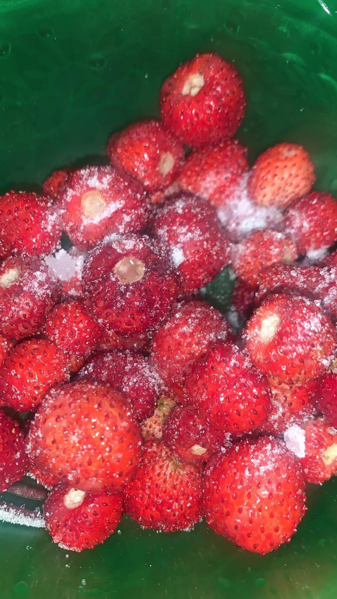 La Mimosa Case Vacanze Marsala Luaran gambar